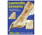 Laminitis Lessons