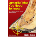 Laminitis: What You Need To Know