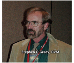 Stephen O' Grady
