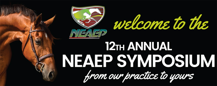 NEAEP Virtual Symposium