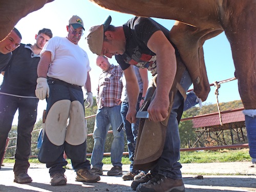 Jim Keith observes the rasping technique of a local farrier in Romania.